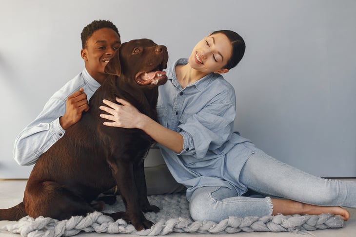 Couple Petting a Dog