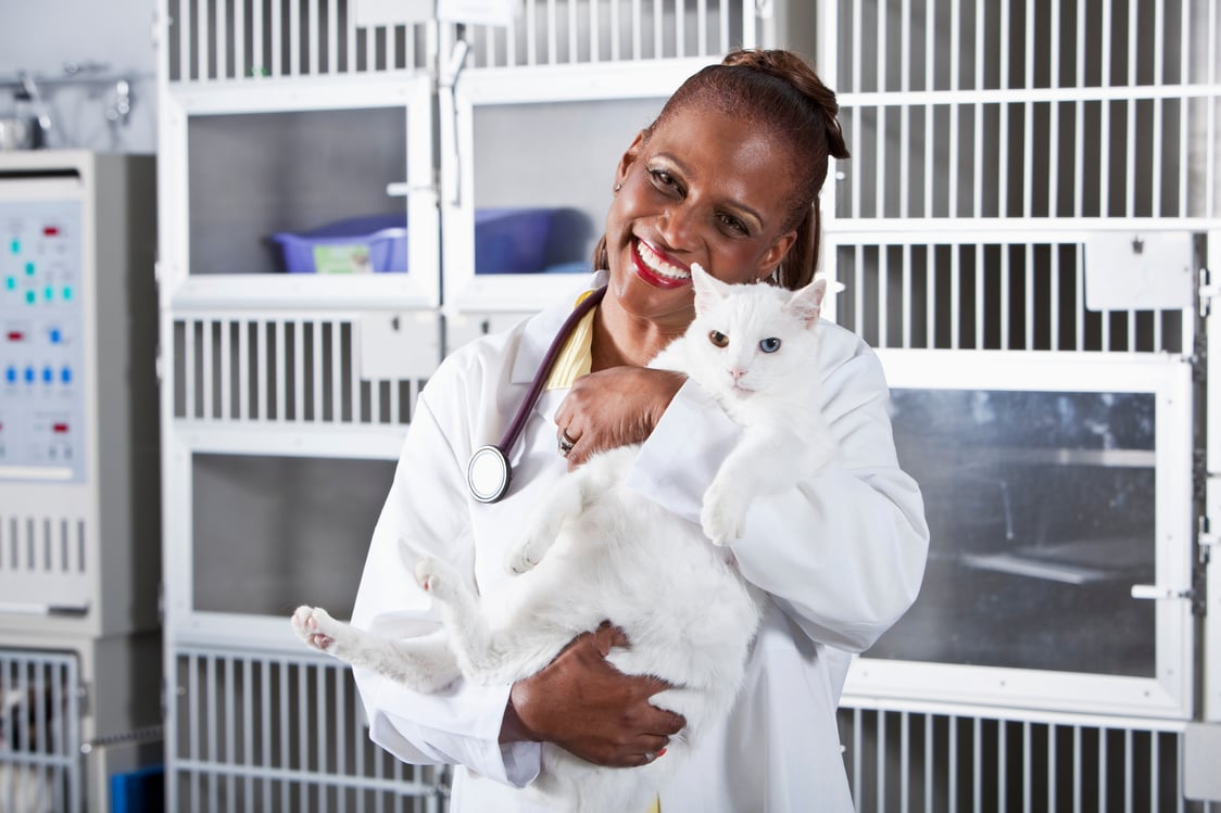 Female veterinarian holding cat